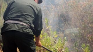 Campagne sensibilisation contre les incendies et conservation forets et environnement 30 juin et 01 juillet 2019 196