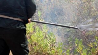 Campagne sensibilisation contre les incendies et conservation forets et environnement 30 juin et 01 juillet 2019 197