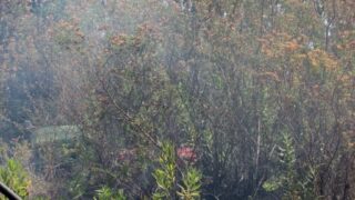 Campagne sensibilisation contre les incendies et conservation forets et environnement 30 juin et 01 juillet 2019 198