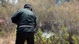 Campagne sensibilisation contre les incendies et conservation forets et environnement 30 juin et 01 juillet 2019 199