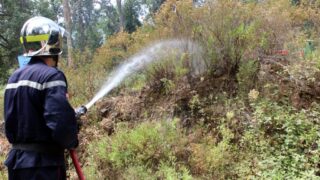 Campagne sensibilisation contre les incendies et conservation forets et environnement 30 juin et 01 juillet 2019 215