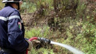 Campagne sensibilisation contre les incendies et conservation forets et environnement 30 juin et 01 juillet 2019 216