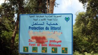 Campagne sensibilisation contre les incendies et conservation forets et environnement 30 juin et 01 juillet 2019 221