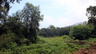 Campagne sensibilisation contre les incendies et conservation forets et environnement 30 juin et 01 juillet 2019 248