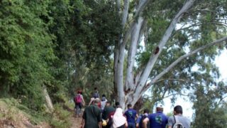 Campagne sensibilisation contre les incendies et conservation forets et environnement 30 juin et 01 juillet 2019 250