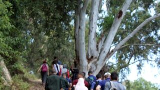 Campagne sensibilisation contre les incendies et conservation forets et environnement 30 juin et 01 juillet 2019 251