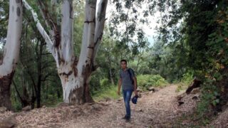 Campagne sensibilisation contre les incendies et conservation forets et environnement 30 juin et 01 juillet 2019 256