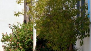 Preinscription universitaire orientation nouveaux bacheliers 2019 2020 Universite Bejaia 24 25 juillet 2019 345