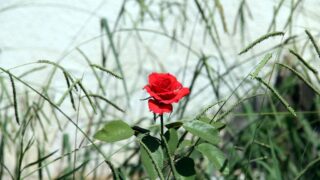 seminaire doctoral sur l innovation et le transfert technologique Erasmus plus SATELIT Univ Bejaia 15 16 Juillet 2019 009