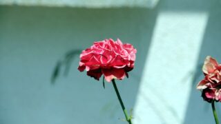 seminaire doctoral sur l innovation et le transfert technologique Erasmus plus SATELIT Univ Bejaia 15 16 Juillet 2019 010