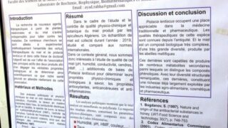 seminaire doctoral sur l innovation et le transfert technologique Univ Bejaia 15 16 Juillet 2019 228