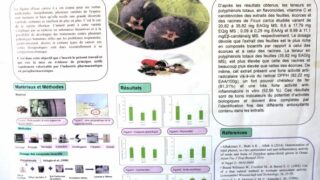 seminaire doctoral sur l innovation et le transfert technologique Univ Bejaia 15 16 Juillet 2019 231