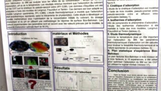 seminaire doctoral sur l innovation et le transfert technologique Univ Bejaia 15 16 Juillet 2019 236