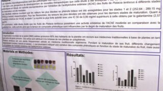 seminaire doctoral sur l innovation et le transfert technologique Univ Bejaia 15 16 Juillet 2019 239