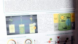 seminaire doctoral sur l innovation et le transfert technologique Univ Bejaia 15 16 Juillet 2019 240