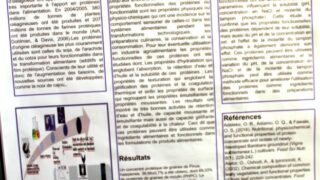 seminaire doctoral sur l innovation et le transfert technologique Univ Bejaia 15 16 Juillet 2019 244