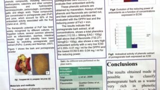 seminaire doctoral sur l innovation et le transfert technologique Univ Bejaia 15 16 Juillet 2019 245