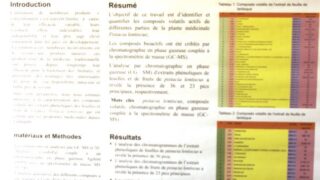 seminaire doctoral sur l innovation et le transfert technologique Univ Bejaia 15 16 Juillet 2019 246