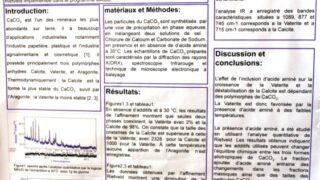 seminaire doctoral sur l innovation et le transfert technologique Univ Bejaia 15 16 Juillet 2019 253