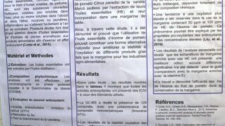 seminaire doctoral sur l innovation et le transfert technologique Univ Bejaia 15 16 Juillet 2019 257