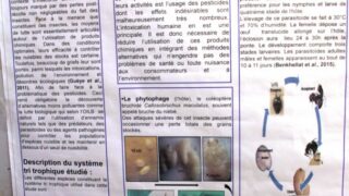 seminaire doctoral sur l innovation et le transfert technologique Univ Bejaia 15 16 Juillet 2019 258