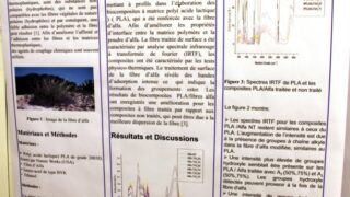 seminaire doctoral sur l innovation et le transfert technologique Univ Bejaia 15 16 Juillet 2019 265