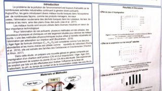 seminaire doctoral sur l innovation et le transfert technologique Univ Bejaia 15 16 Juillet 2019 280