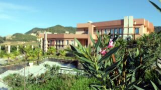 Troisieme congres international de la physique et de la chimie quantique CiPCQ2019 Univ Bejaia 4 5 6 Nov 2019 224