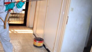 Compagne de desinfection des amphitheatres blocs pedagogiques et laboratoires Universite de Bejaia 30 Mars 2020l 008