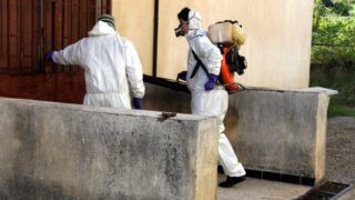 Compagne de desinfection des amphitheatres blocs pedagogiques et laboratoires Universite de Bejaia 30 Mars 2020l 052