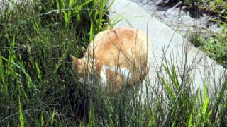 Compagne de desinfection des amphitheatres blocs pedagogiques et laboratoires Universite de Bejaia 30 Mars 2020l 072