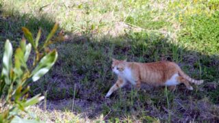 Compagne de desinfection des amphitheatres blocs pedagogiques et laboratoires Universite de Bejaia 30 Mars 2020l 090