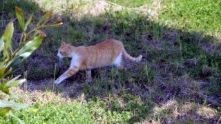 Compagne de desinfection des amphitheatres blocs pedagogiques et laboratoires Universite de Bejaia 30 Mars 2020l 091