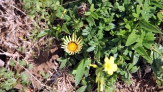 Compagne de desinfection des amphitheatres blocs pedagogiques et laboratoires Universite de Bejaia 30 Mars 2020l 104