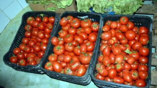 Sortie sur terrain commission lutte contre Covid 19 Universite de Bejaia 30 Septembre 2020 159