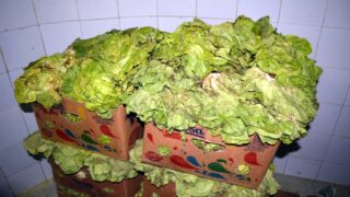 Sortie sur terrain commission lutte contre Covid 19 Universite de Bejaia 30 Septembre 2020 160