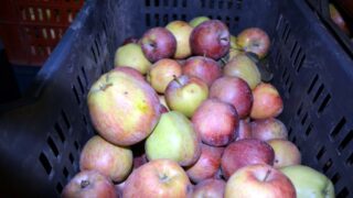 Sortie sur terrain commission lutte contre Covid 19 Universite de Bejaia 30 Septembre 2020 161