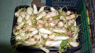 Sortie sur terrain commission lutte contre Covid 19 Universite de Bejaia 30 Septembre 2020 162