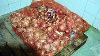 Sortie sur terrain commission lutte contre Covid 19 Universite de Bejaia 30 Septembre 2020 163