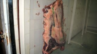 Sortie sur terrain commission lutte contre Covid 19 Universite de Bejaia 30 Septembre 2020 164