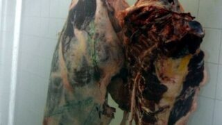 Sortie sur terrain commission lutte contre Covid 19 Universite de Bejaia 30 Septembre 2020 165