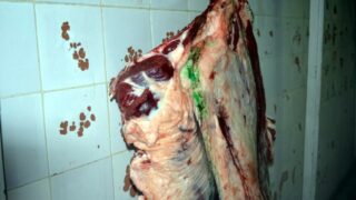 Sortie sur terrain commission lutte contre Covid 19 Universite de Bejaia 30 Septembre 2020 166