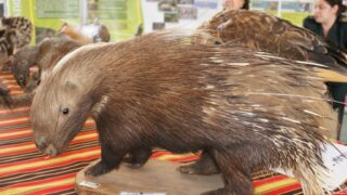 4em forum universite bejaia 2010 087