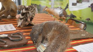 4em forum universite bejaia 2010 088