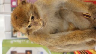 4em forum universite bejaia 2010 089