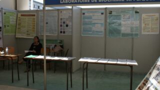 4em forum universite bejaia 2010 346