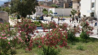 Inscription nouveaux bacheliers 2010 190