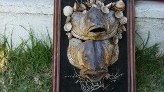 Portes ouvertes sur l architecture 2013 picture 0027