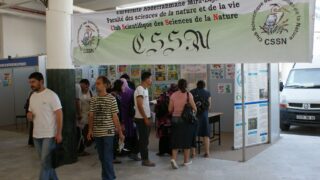 3eme forum de bejaia du 29 juin au 02 juillet 2009 310 1