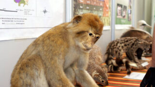 5eme forum Bejaia de luniversite et le monde productif 27 30 juin 2011 147